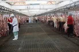 الكاتب الصحفى حامد المحلاوى يكتب لكم: لماذا تهاجمون صكوك الأضاحي