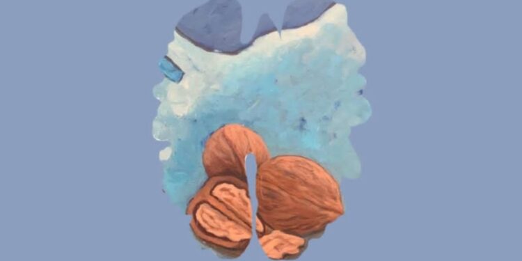 «افتح عين الجمل».. رحلة تشكيلية جديدة للفنانة فاطمة الدهمش بالرياض