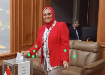 11 لجنة انتخابية فى القارة الإفريقية تفتح أبوابها لاستقبال الناخبين المصريين