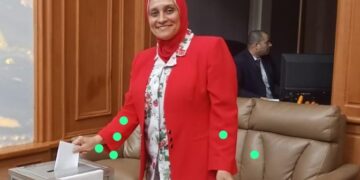 11 لجنة انتخابية فى القارة الإفريقية تفتح أبوابها لاستقبال الناخبين المصريين