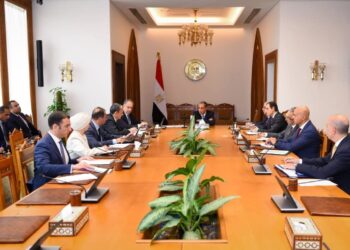 وزير الخارجية يتابع استعدادات الوزارة لافتتاح المتحف المصرى الكبير