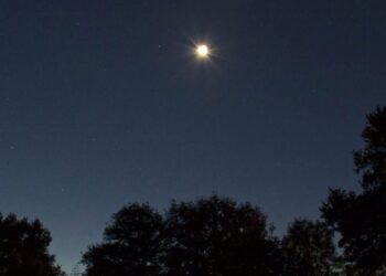 فلكية جدة…