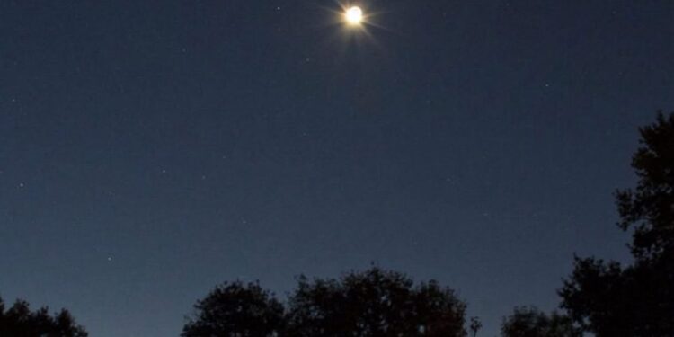 فلكية جدة…