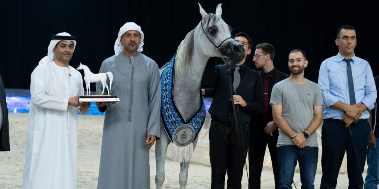 مربط دبي يتألق بذهبيتين وفضيةفي بطولة الإمارات الوطنية لجمال الخيول العربية