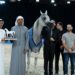 مربط دبي يتألق بذهبيتين وفضيةفي بطولة الإمارات الوطنية لجمال الخيول العربية
