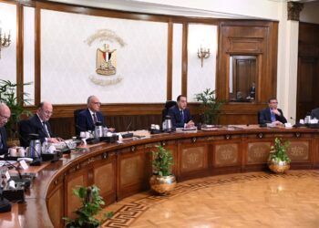 رئيس الوزراء يتابع الخطط التنفيذية لتنمية سيناء