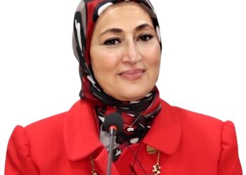 بطلب إحاطة.. رئيس لجنة الإعلام بالنواب تطالب بإدراج “التربية الإعلامية والرقمية” كمادة أساسية في التعليم ما قبل الجامعي