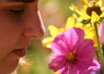 الكاتب الصحفى حامد المحلاوى يكتب لكم عن حاسة الشم فى شم النسيم