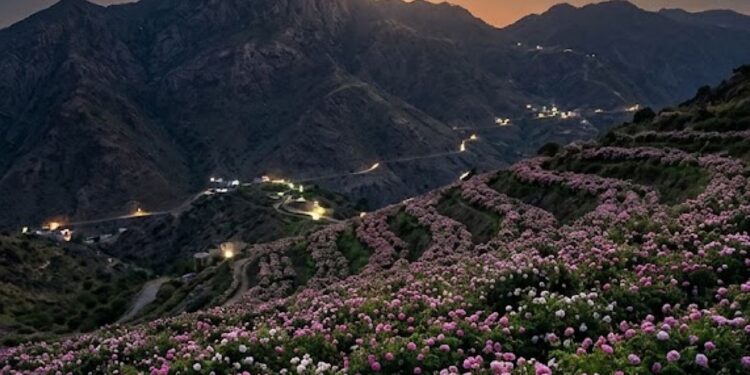«قمر الورد الطائفي» يزين السماء الليلة
